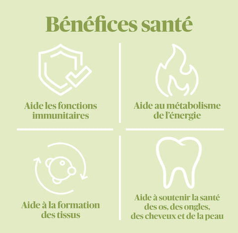 Booster Énergie (Zinc) - Vitamins nutritionnel d'Evive -