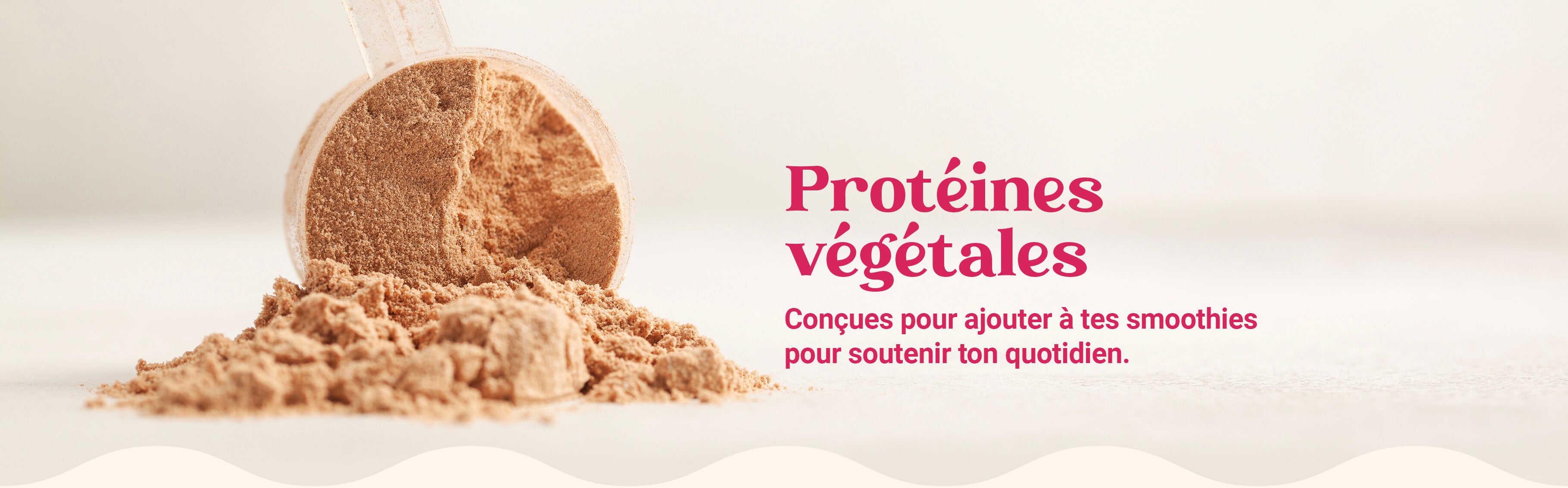 An overhead shot of colorful Evive Smoothie Bites, two product bags, and a white portable blender.