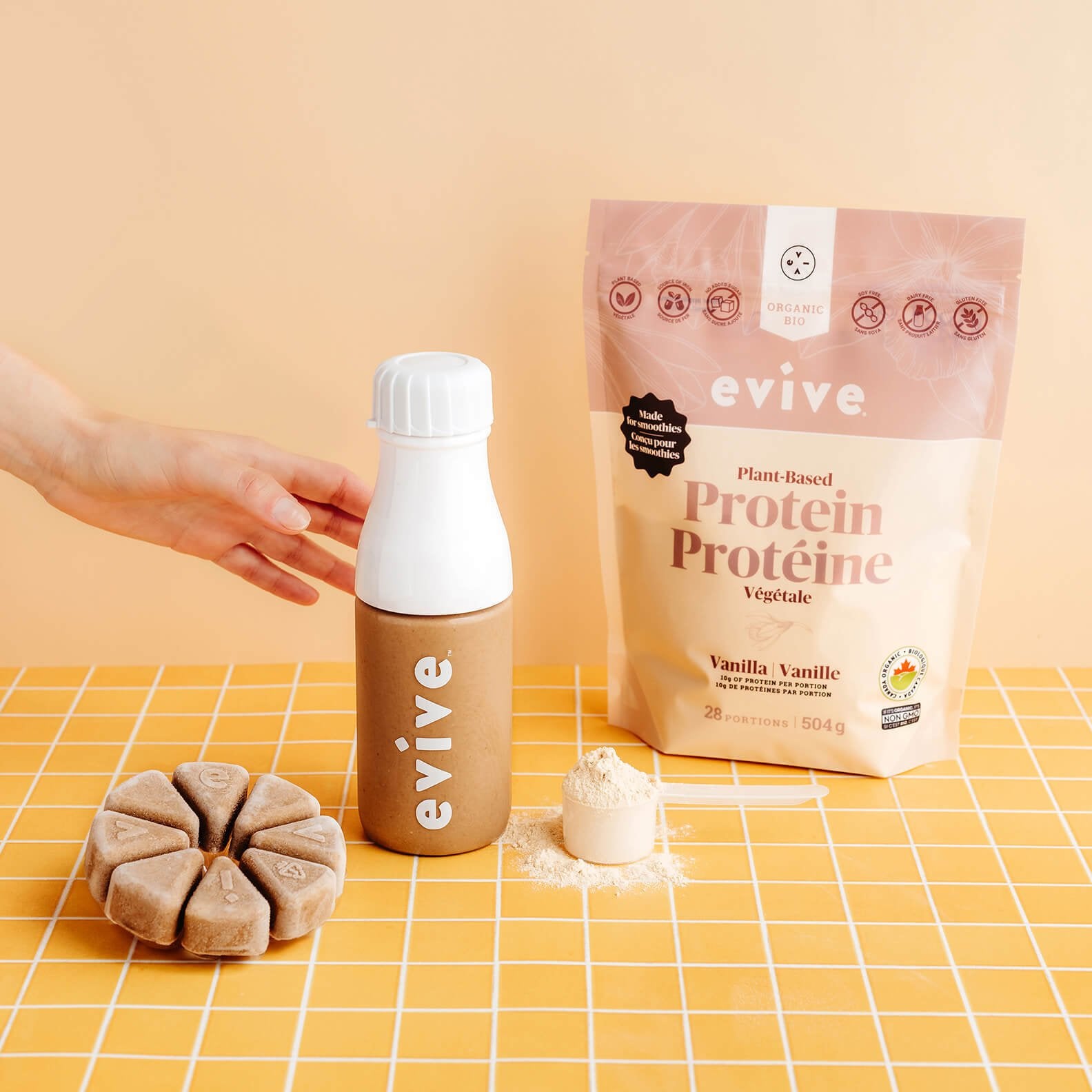 Protéines en poudre végétales - Vanille - Promo - Proteins nutritionnel d'Evive -