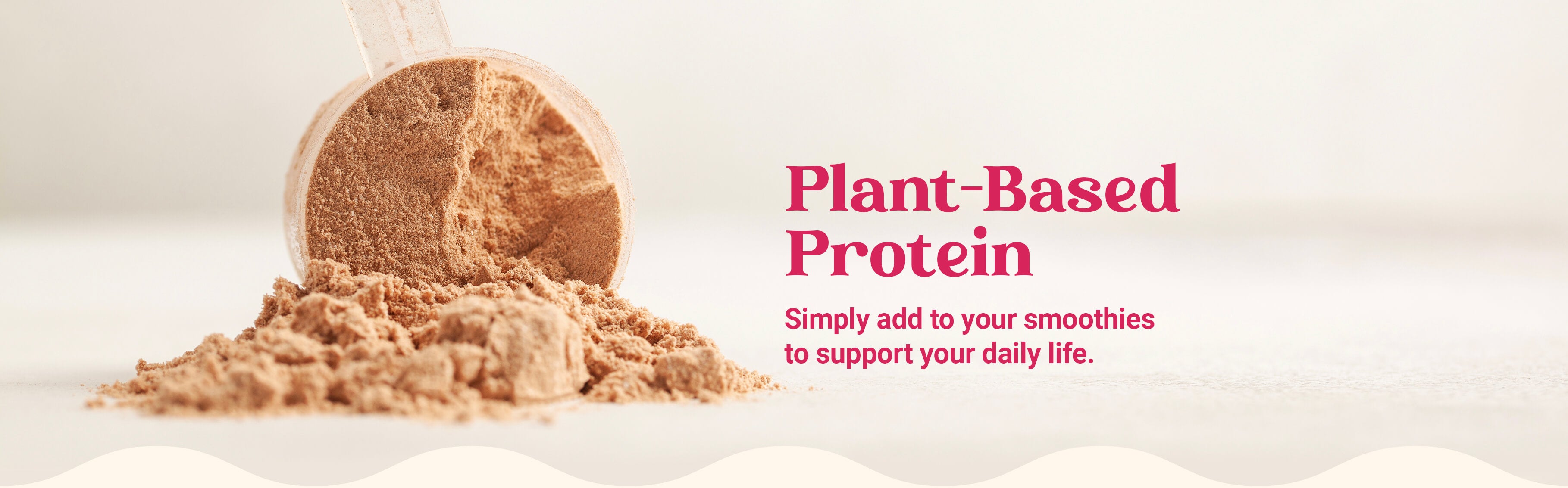 An overhead shot of colorful Evive Smoothie Bites, two product bags, and a white portable blender.